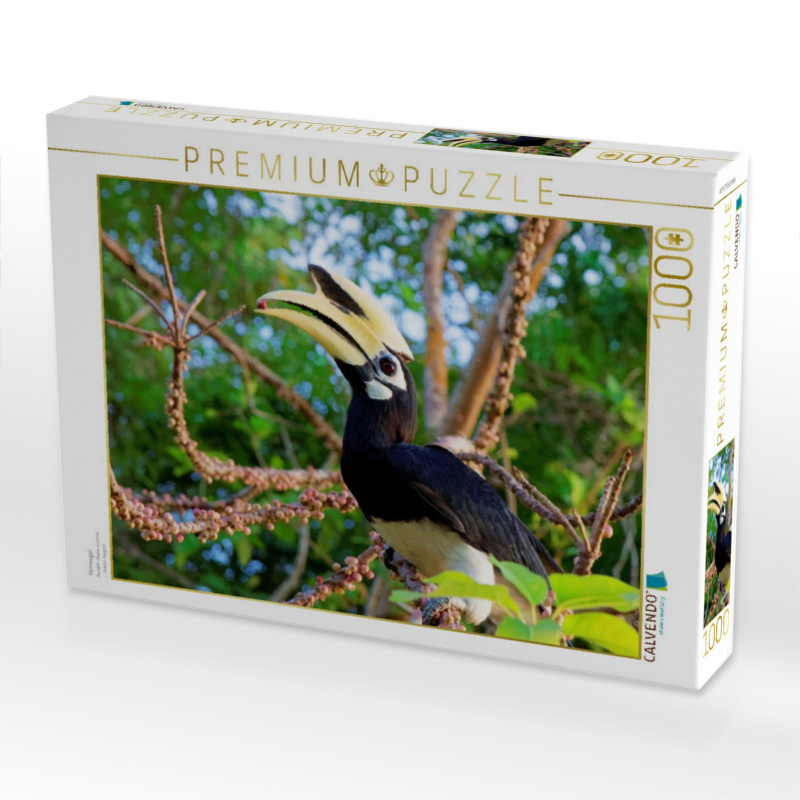 Hornvogel