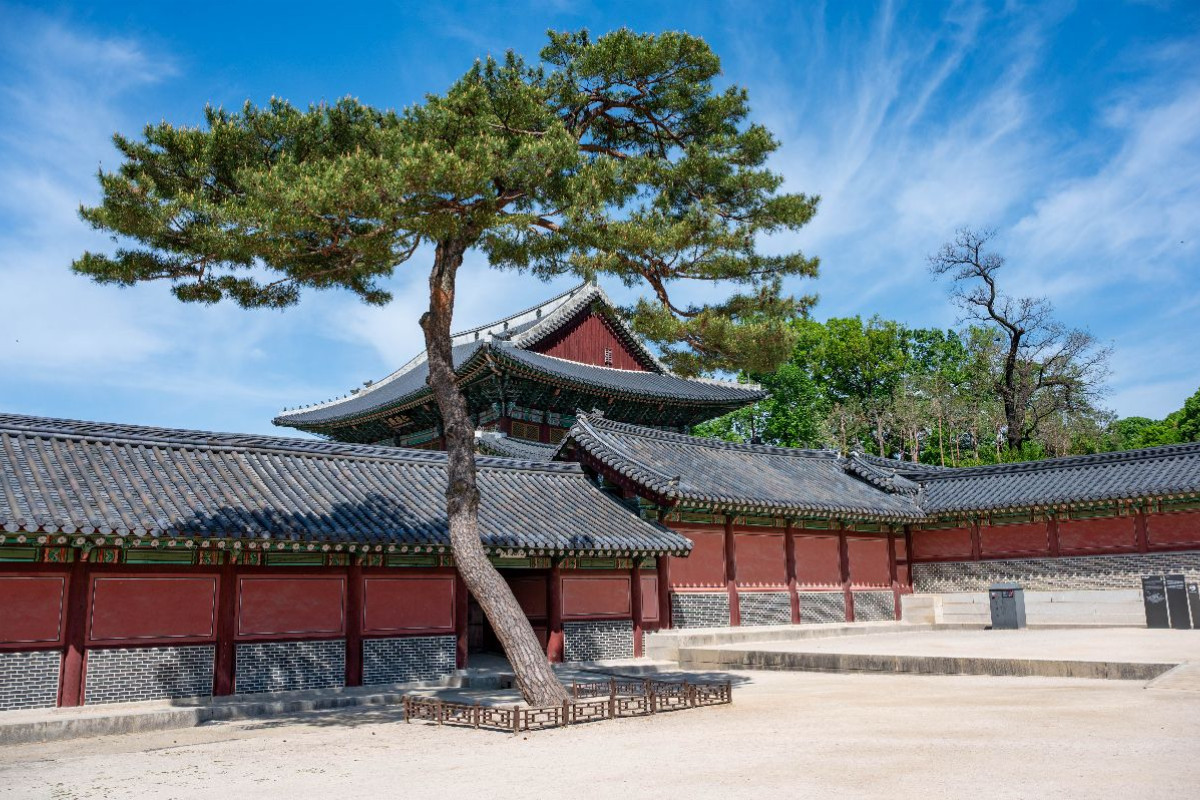 Changdeokgung Königliche Eleganz