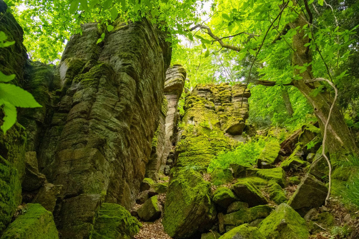 Battertfelsen Baden-Baden