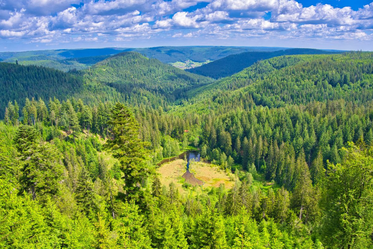 Ellbachseeblick bei Kniebis