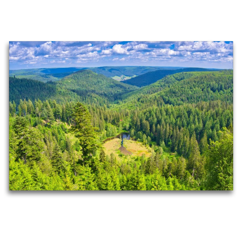 Ellbachseeblick bei Kniebis