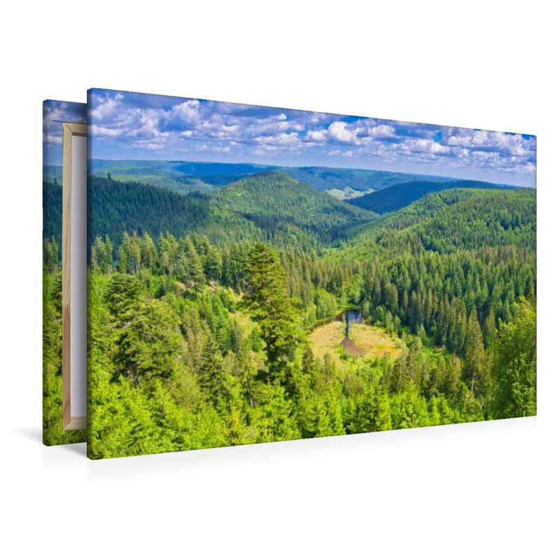 Ellbachseeblick bei Kniebis