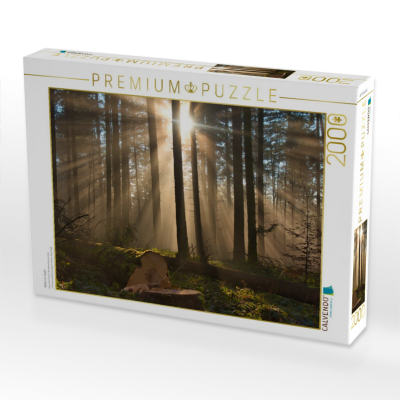 Nebel im Wald