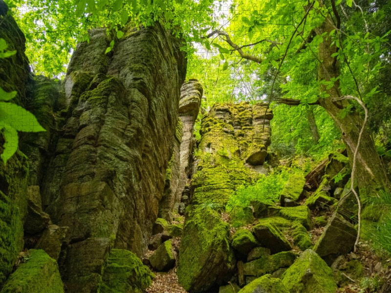 Battertfelsen Baden-Baden