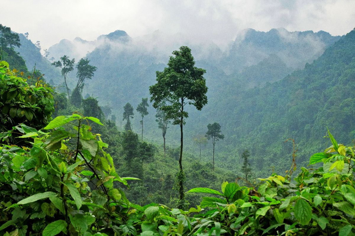 Ke Bang Nationalpark