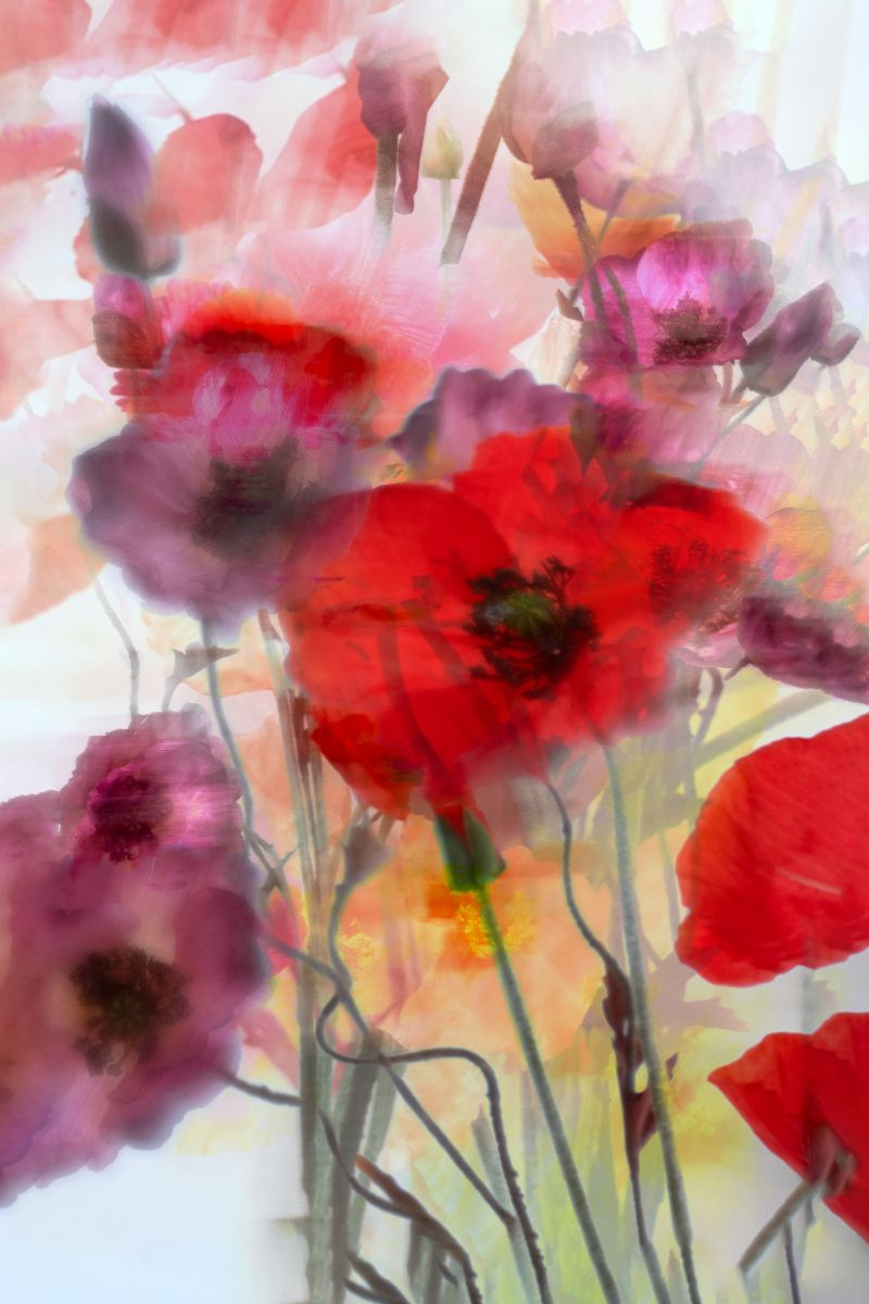Blüten