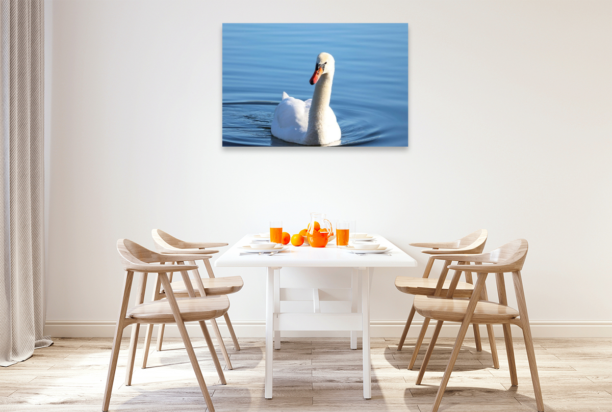 Schwan