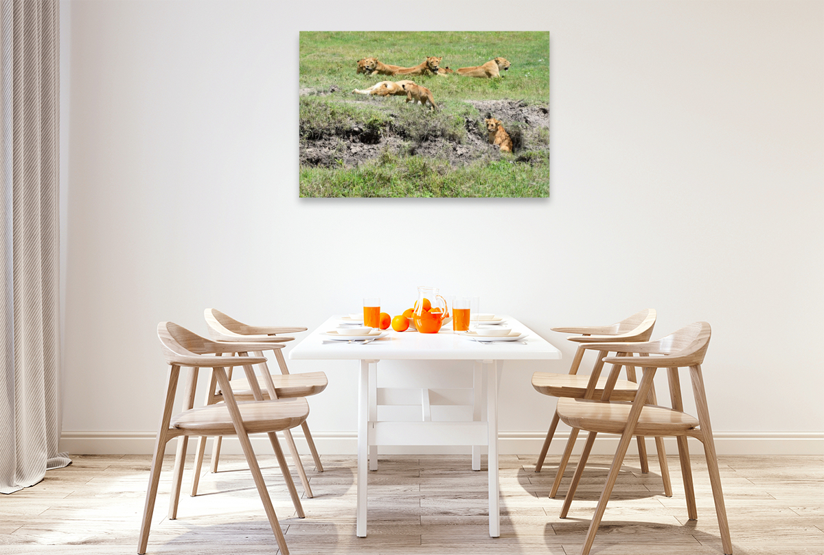 Löwenfamilie