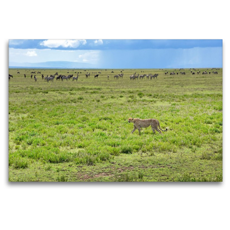 Serengeti-Nationalpark