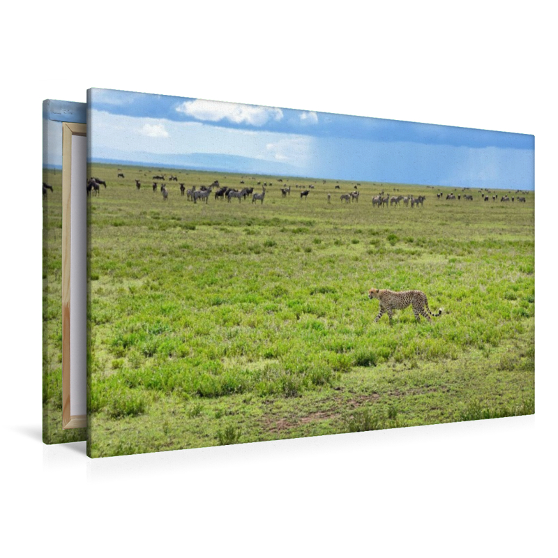 Serengeti-Nationalpark