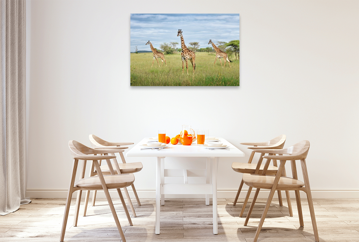 Giraffen