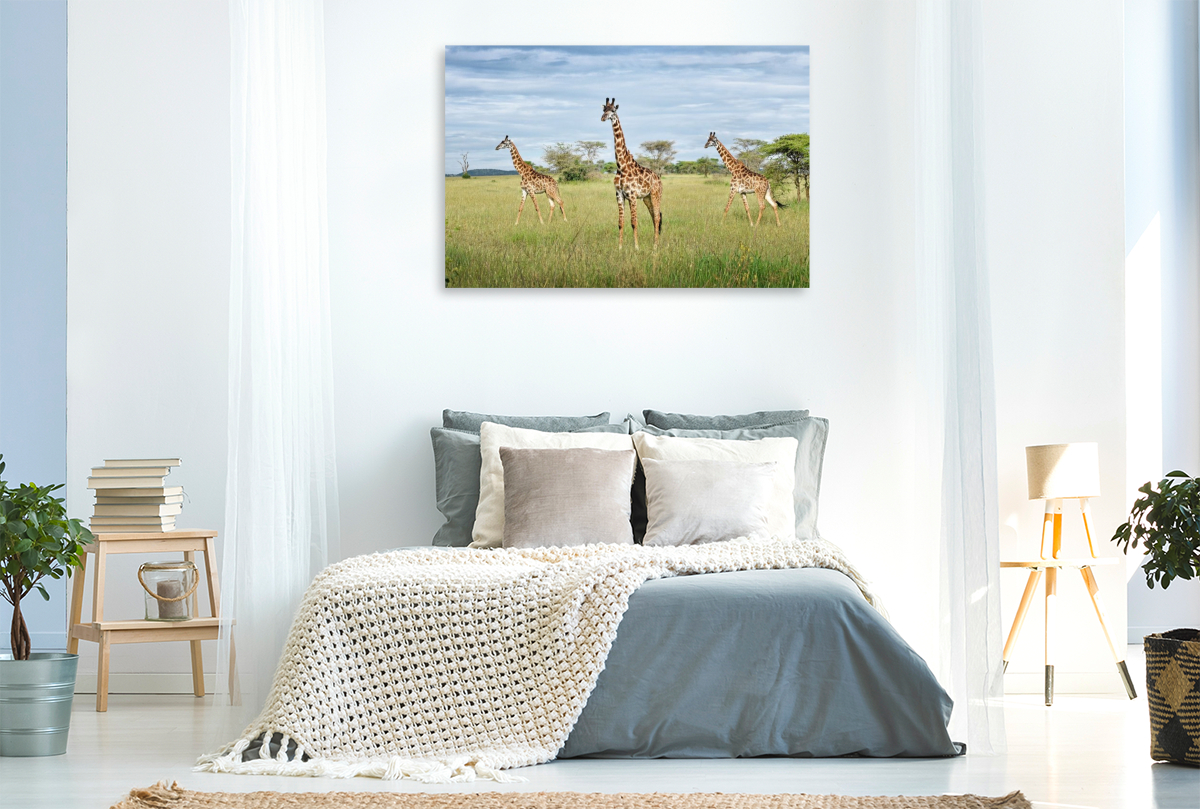 Giraffen