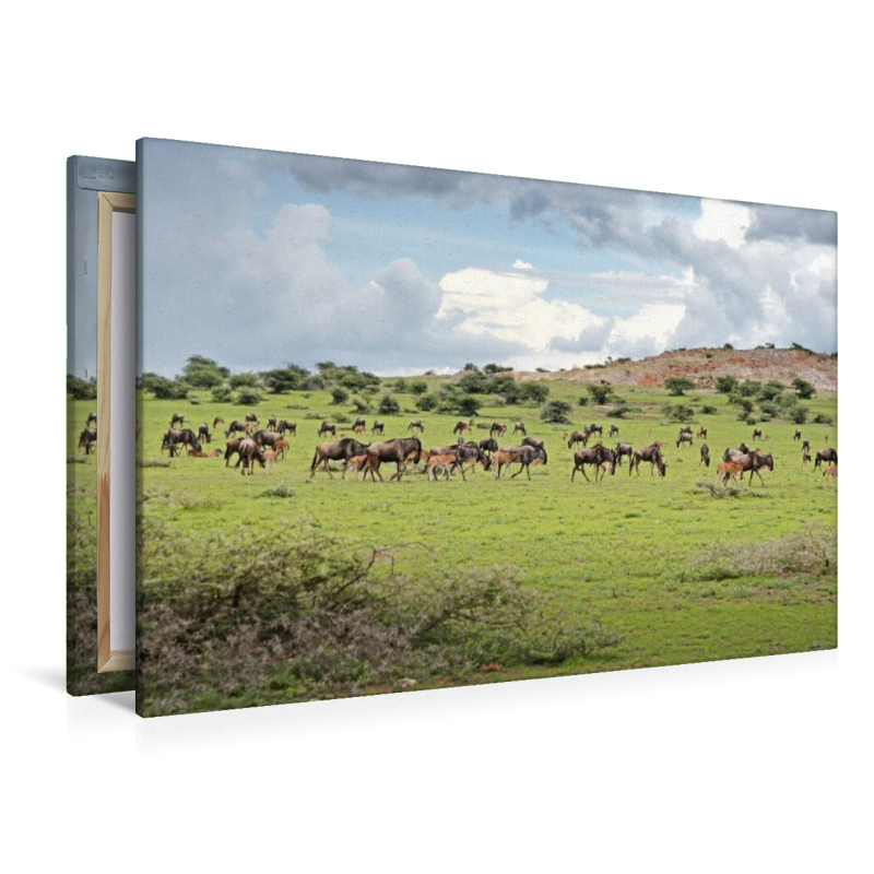 Gnus