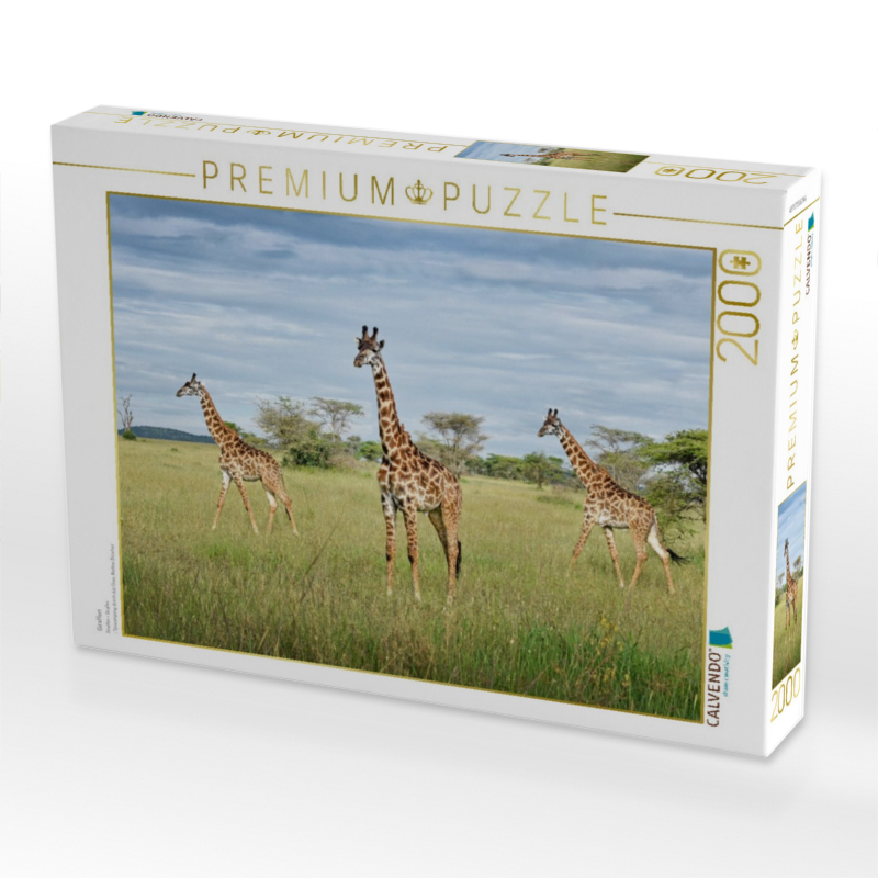 Giraffen