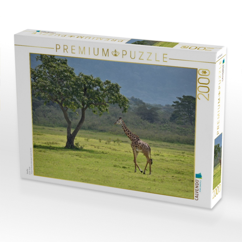 Giraffe