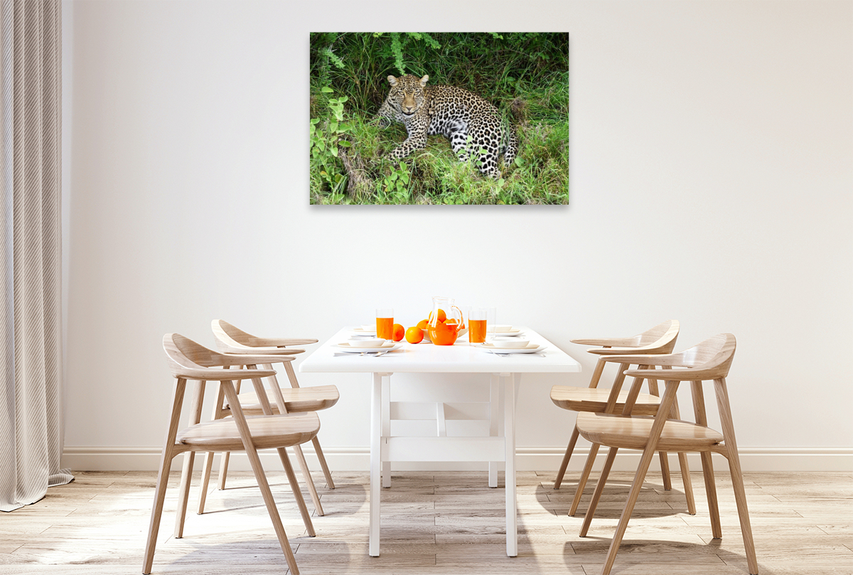 Leopardin