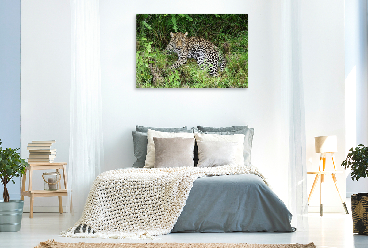 Leopardin
