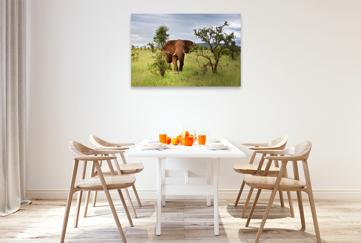 Elefant