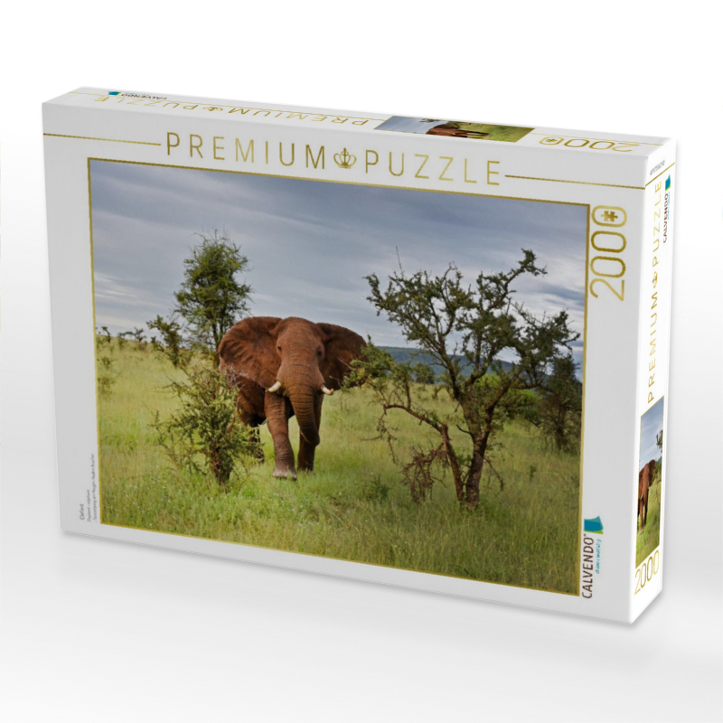 Elefant