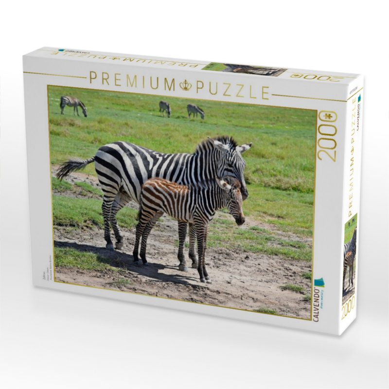 Zebras