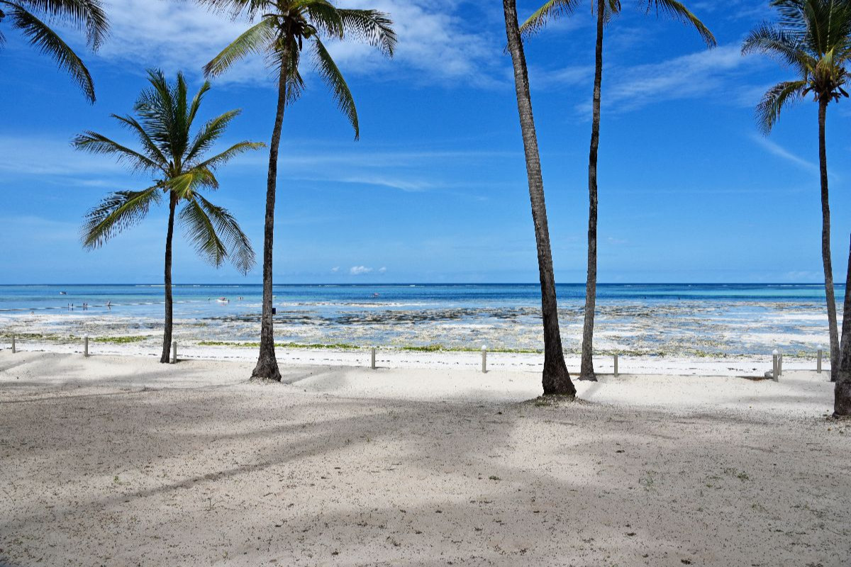 Palmenstrand