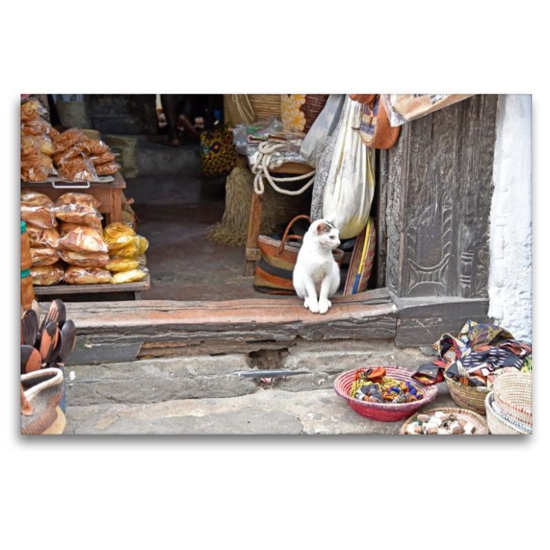 Katze in Stone Town