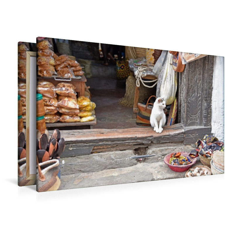 Katze in Stone Town