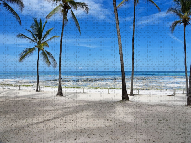 Palmenstrand