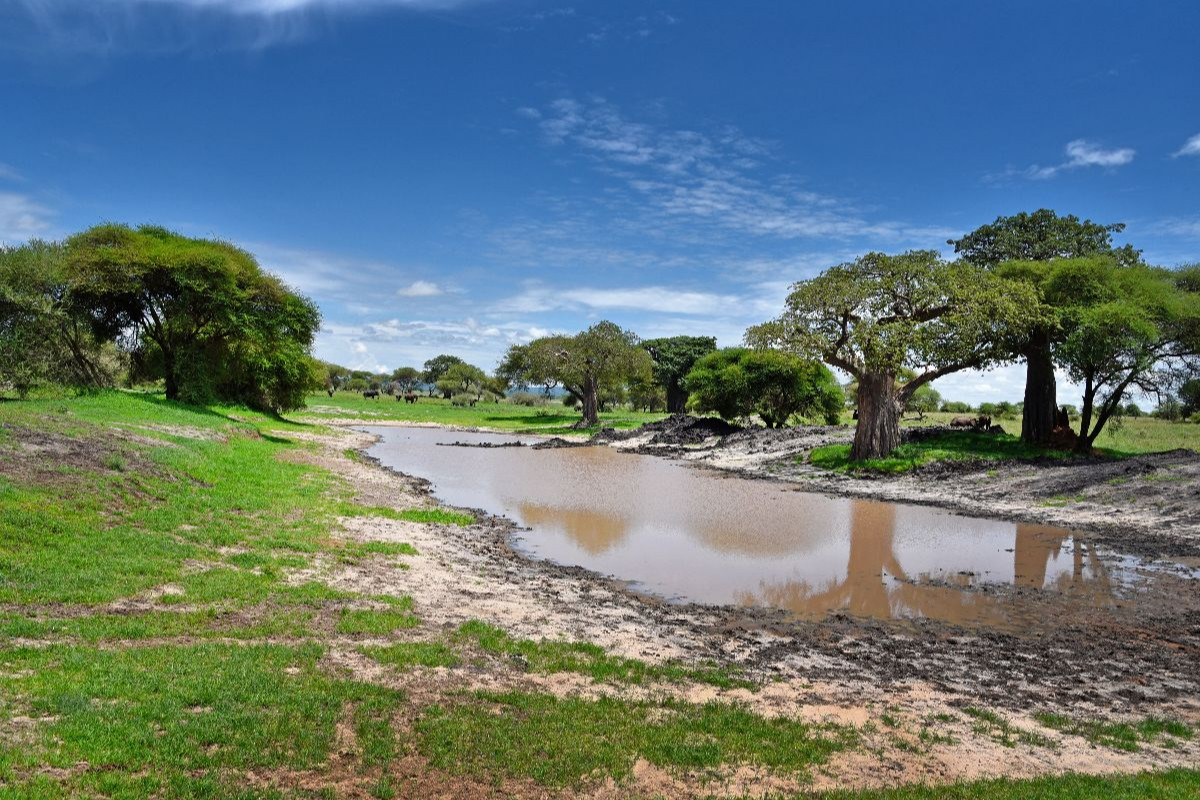 Tarangire-Nationalpark