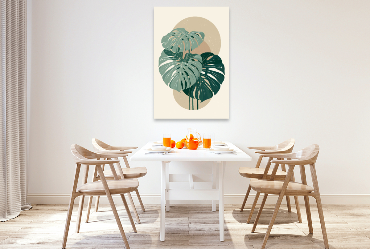Monstera Balance