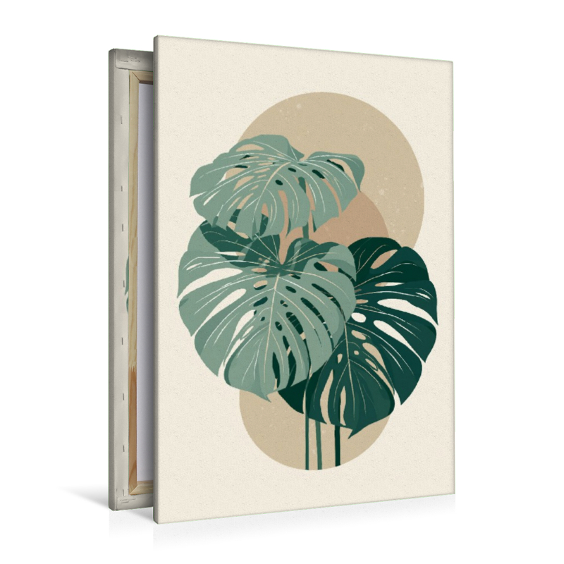 Monstera Balance