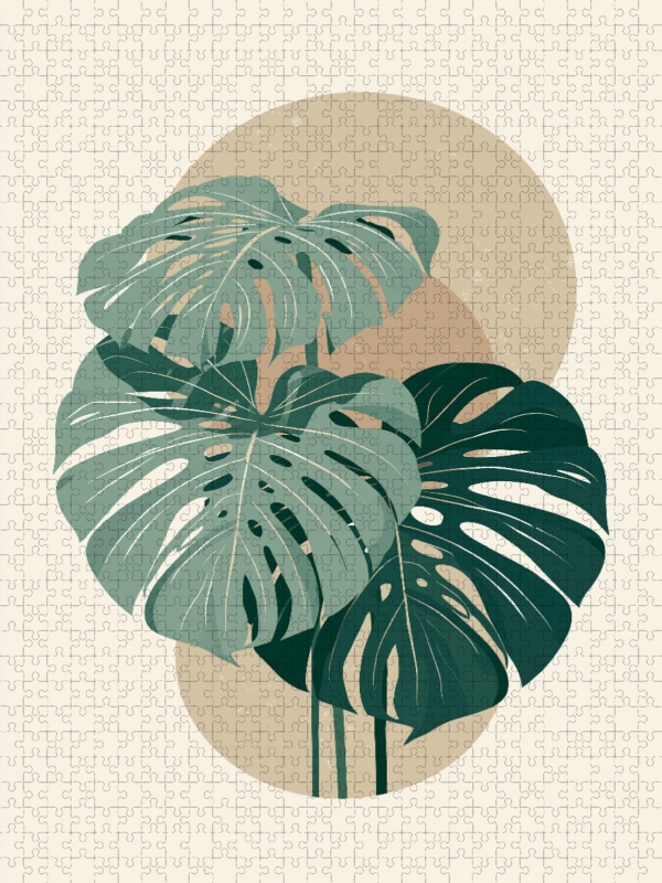 Monstera Balance