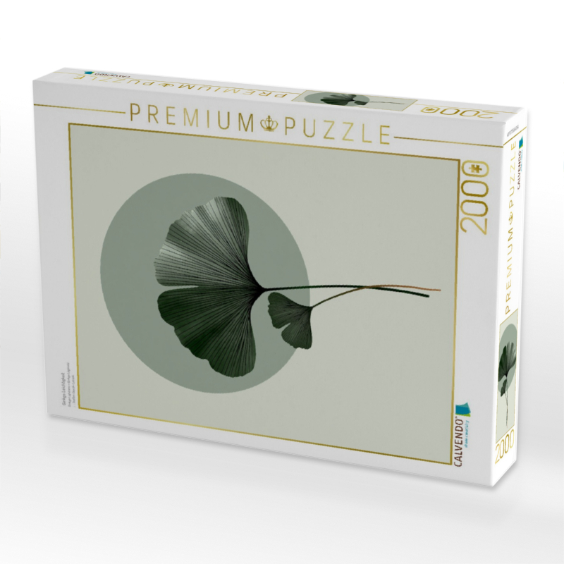 Ginkgo Leichtigkeit
