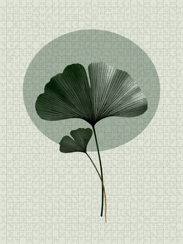 Ginkgo Leichtigkeit