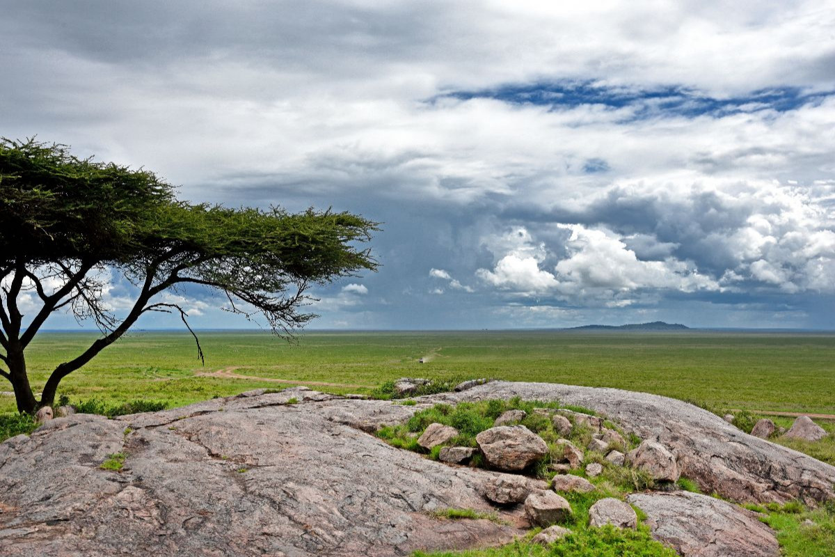 Serengeti-Nationalpark