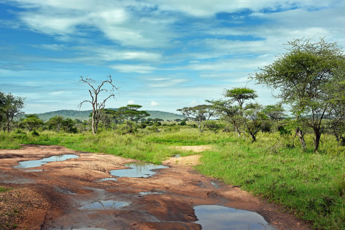 Tarangire-Nationalpark