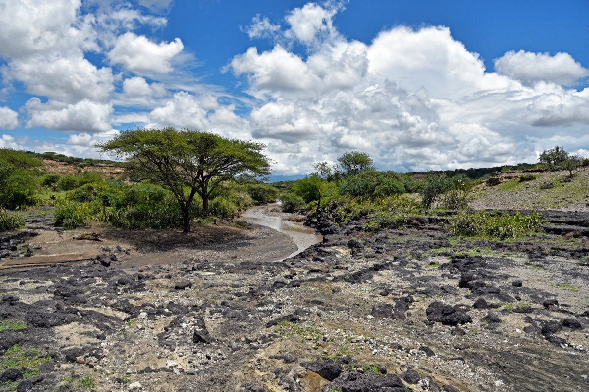 Olduvai-Schlucht