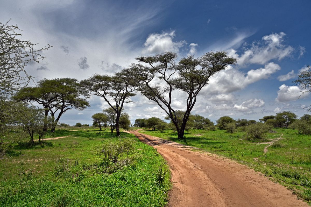 Tarangire-Nationalpark