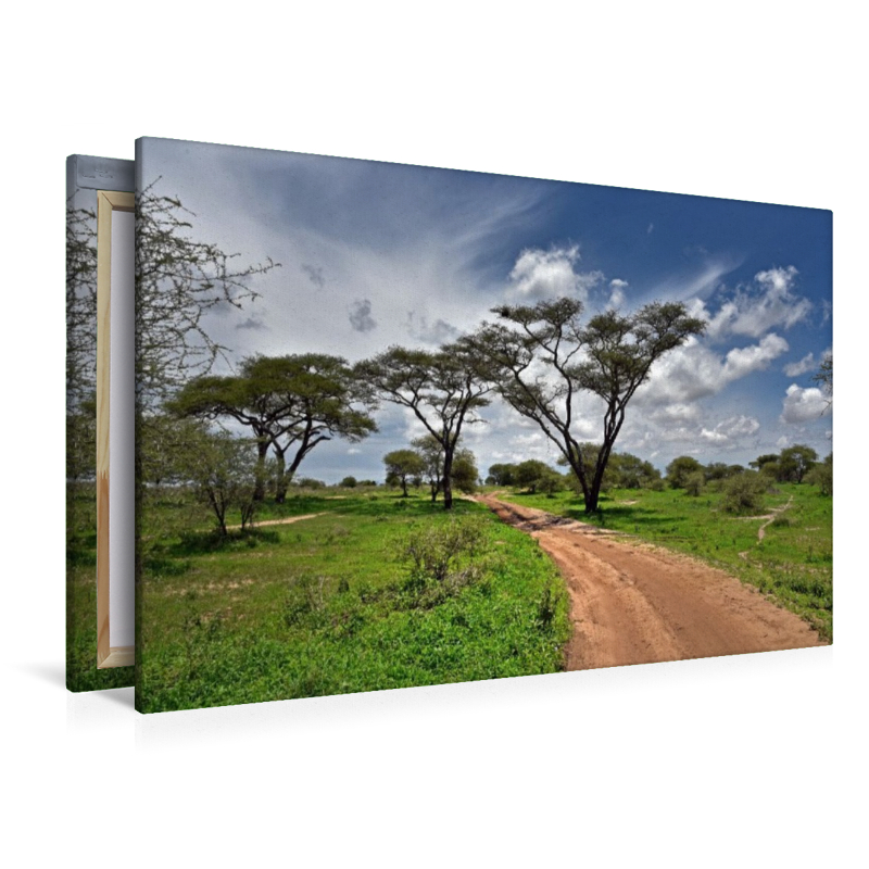 Tarangire-Nationalpark