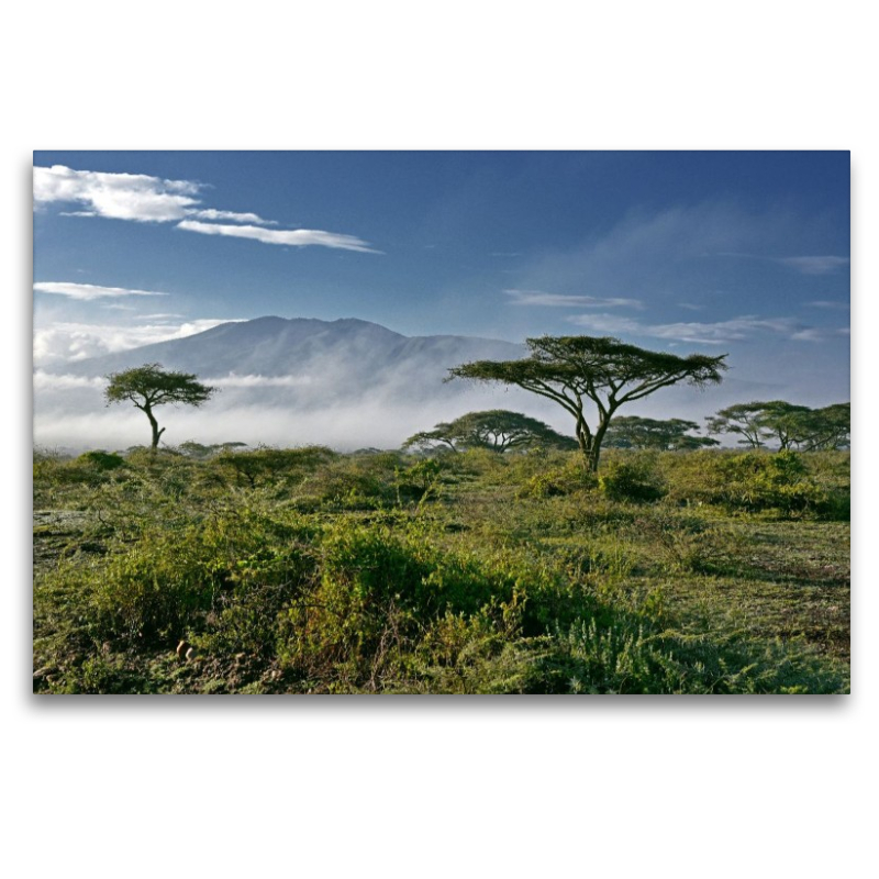 Ngorongoro-Schutzgebiet