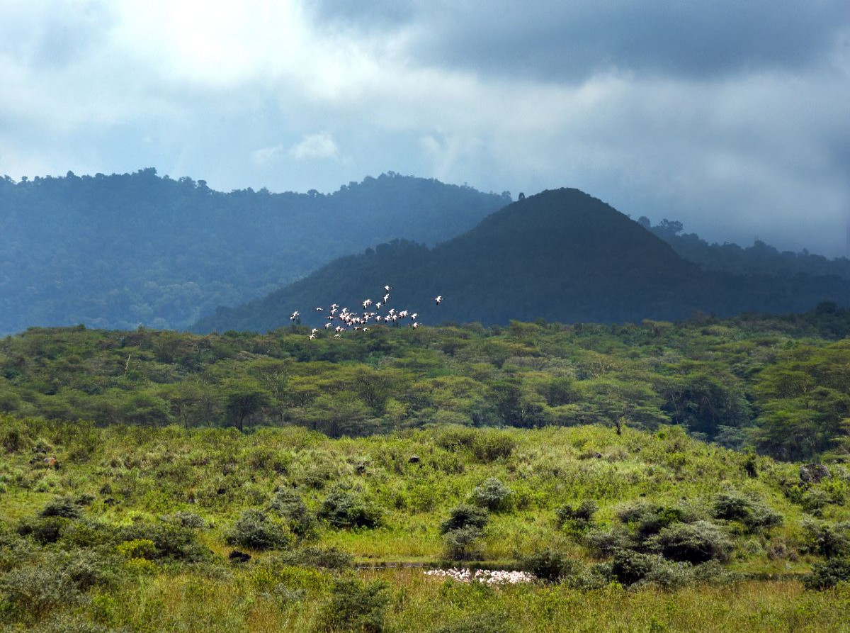 Arusha-Nationalpark