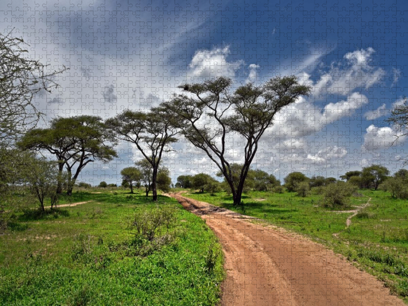 Tarangire-Nationalpark