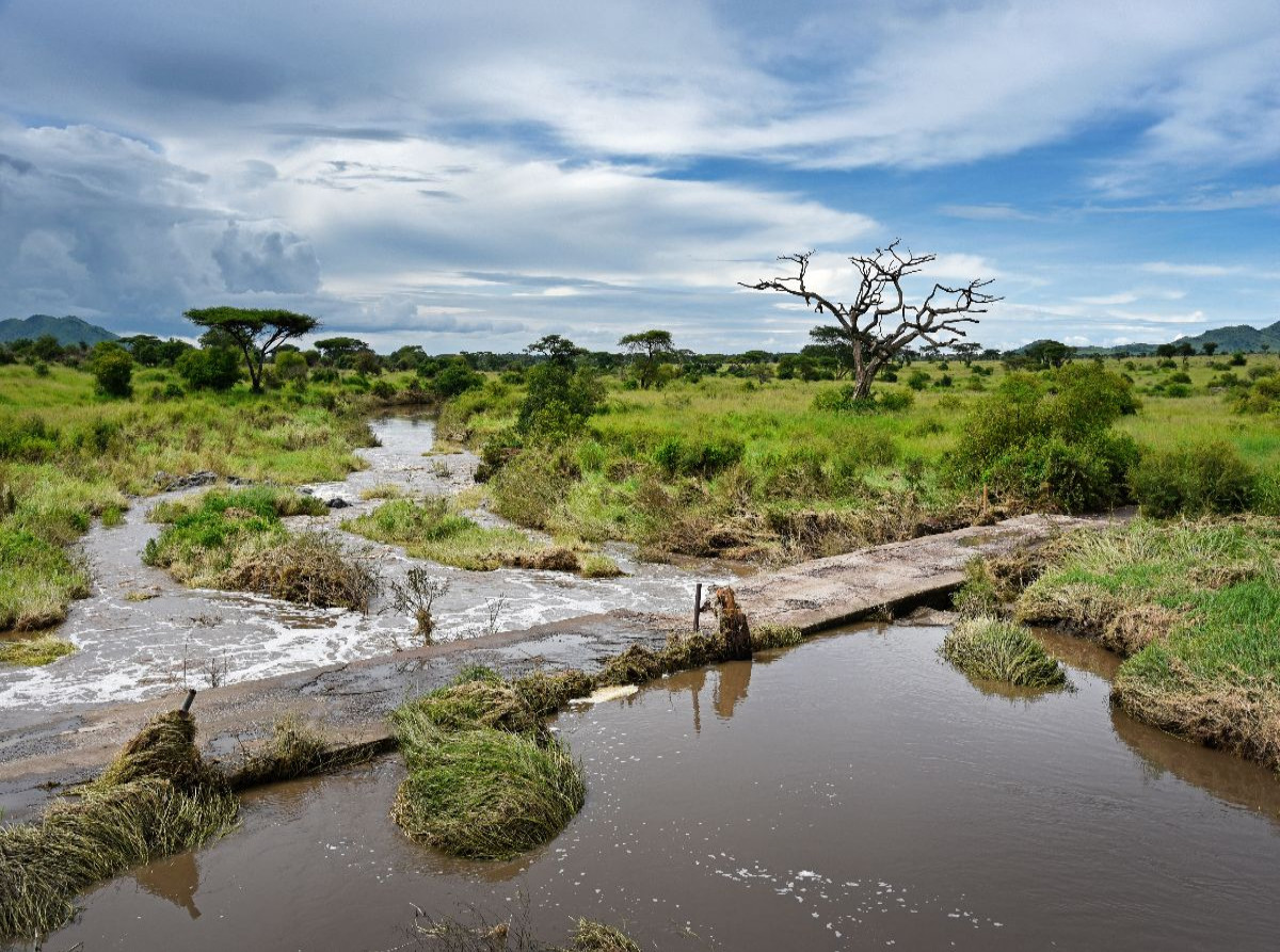 Serengeti-Nationalpark
