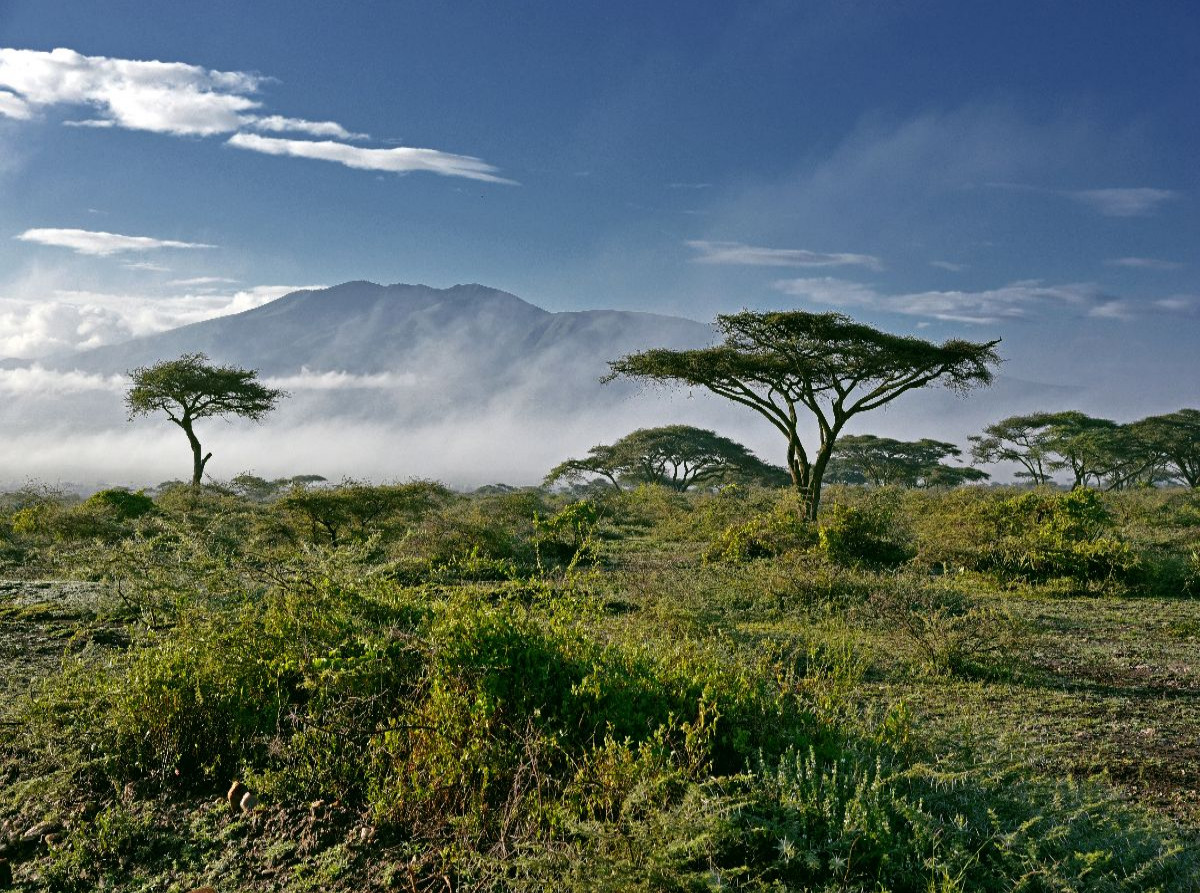 Ngorongoro-Schutzgebiet