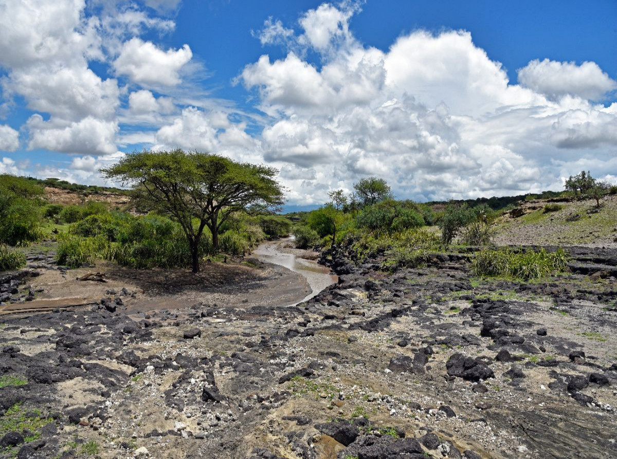 Olduvai-Schlucht