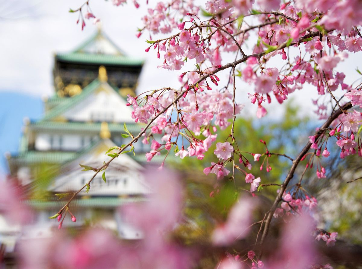 Burg Osaka