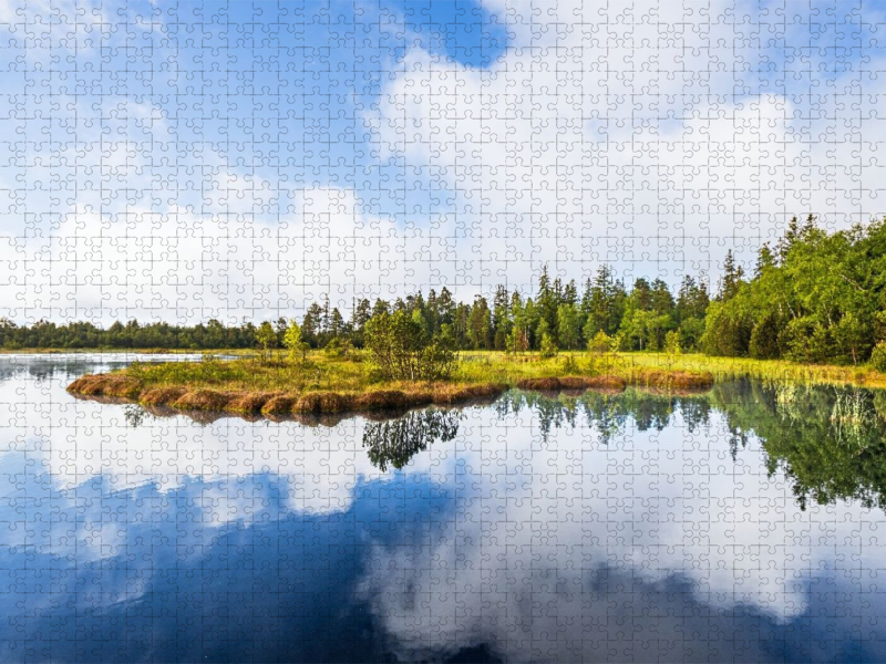 Wildseemoor am Kaltenbronn