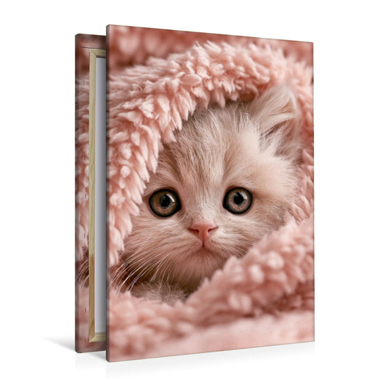 Ein Motiv aus dem Kalender Spaß mit Katzen