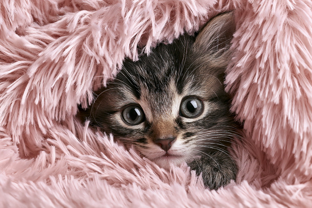 Verstecken? Ich doch nicht!