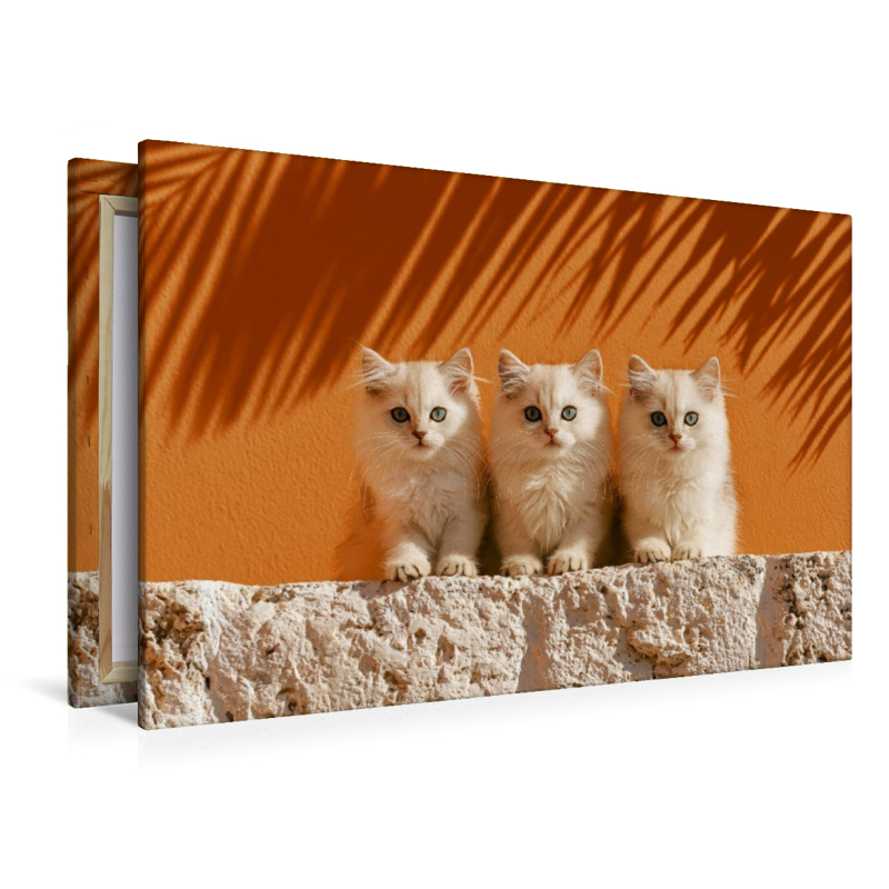 Staunen macht glücklich